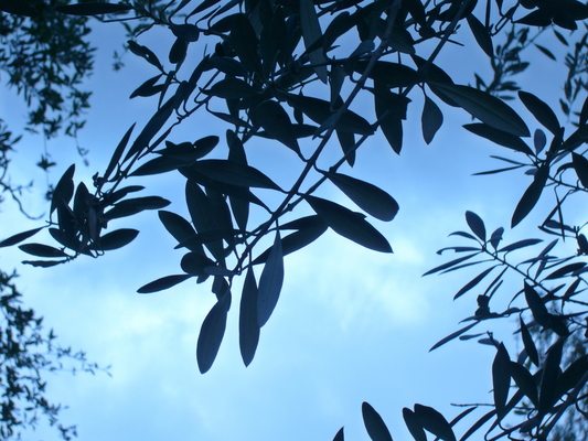 Product picture Childhood Dreem